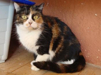 m Bild von Momo