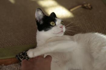 m Bild von Mitxi