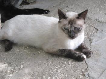 s Bild von Salina