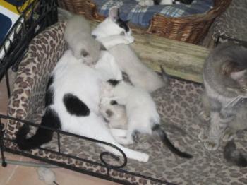 o Bild von Osita
