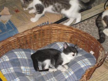 h Bild von Hope