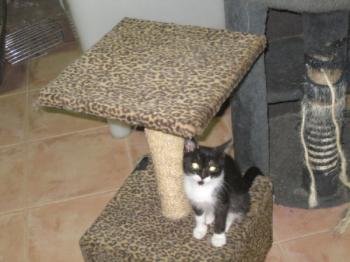 h Bild von Hope
