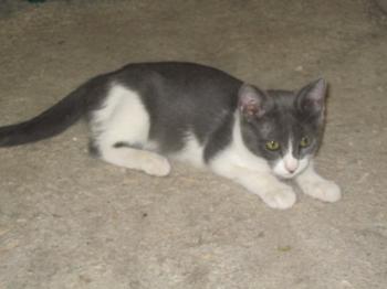 Bild von Lili