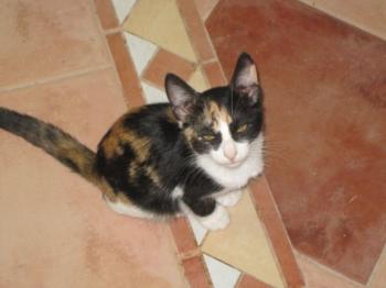 l Bild von Lisa