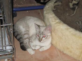 l Bild von Luno
