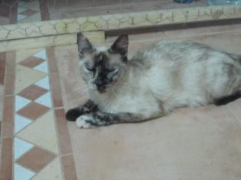 m Bild von Mamina