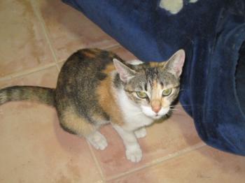 Bild von Lilou