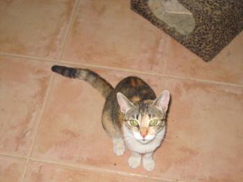 Bild von Lilou