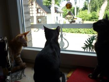 Bild von Mogly