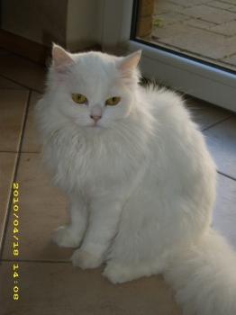 Julia Bild von Julia