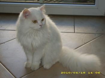 Julia Bild von Julia