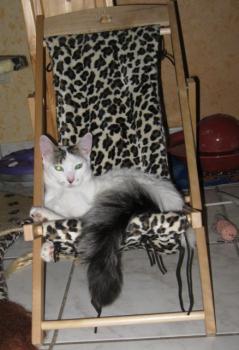 c Bild von Charlie