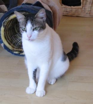 m Bild von Momo
