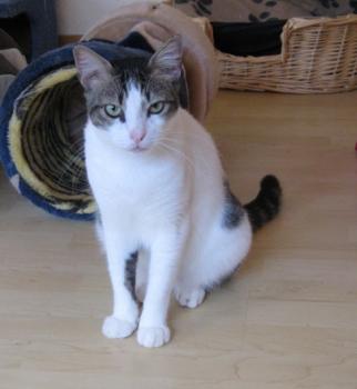 m Bild von Momo
