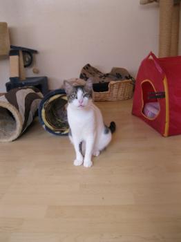 m Bild von Momo