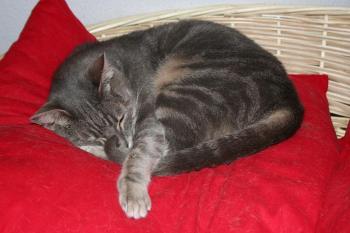 n Bild von Nana