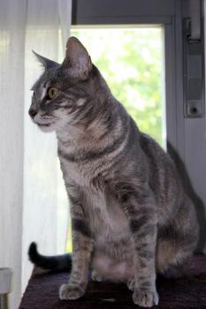 n Bild von Nana