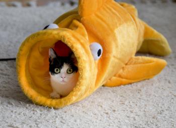 m Bild von Mitxi