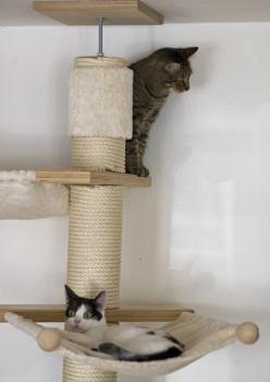 m Bild von Mitxi