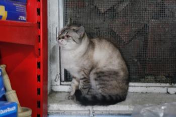 e Bild von Estela