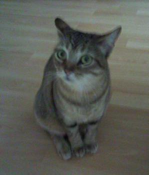 Fiona Bild von Fiona