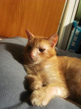 f Bild von Friki