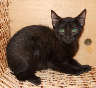 m Bild von Maggie