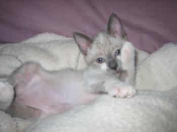 j Bild von Josebita