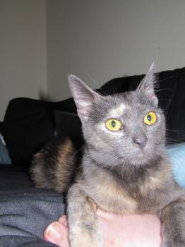 l Bild von Lulu