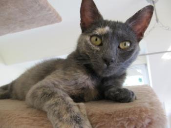 l Bild von Lulu