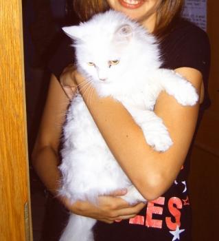 b Bild von Bella