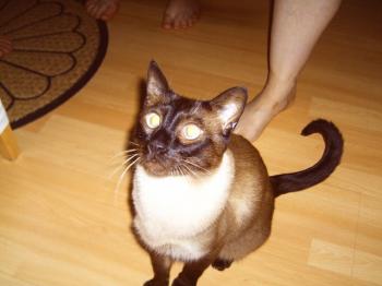 m Bild von Monty