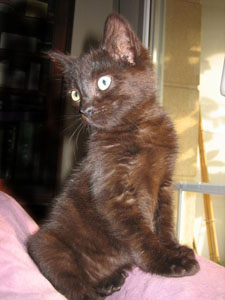 Pepo Bild von Pepo