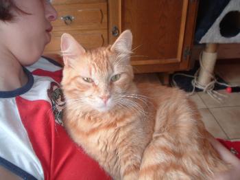 p Bild von Pepe