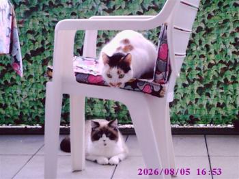 Miss Sodfa Bild von Miss Sodfa