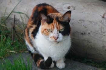 m Bild von Michus
