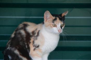 t Bild von Teresita