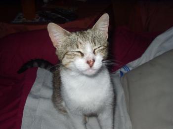 Marusha Bild von Nelly
