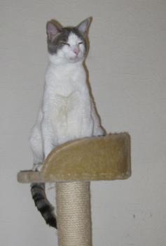 p Bild von Pocholo