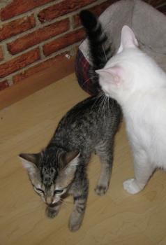 vb Bild von Betty