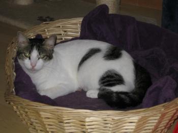 m Bild von Momo