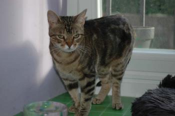 a Bild von Avelina