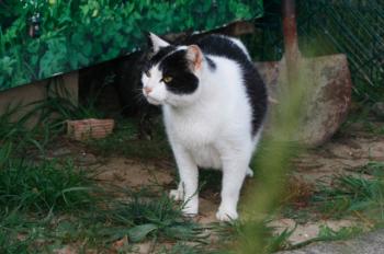t Bild von Ternasco-Ronny