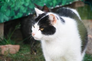 t Bild von Ternasco-Ronny