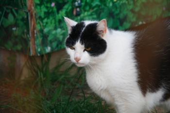 t Bild von Ternasco-Ronny