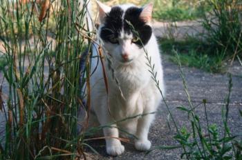 t Bild von Ternasco-Ronny