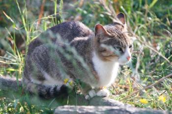 Bild von Sarita