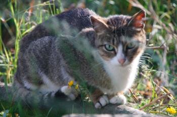 Bild von Sarita