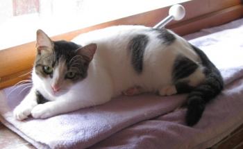 m Bild von Momo