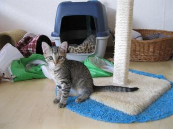 b Bild von Betty